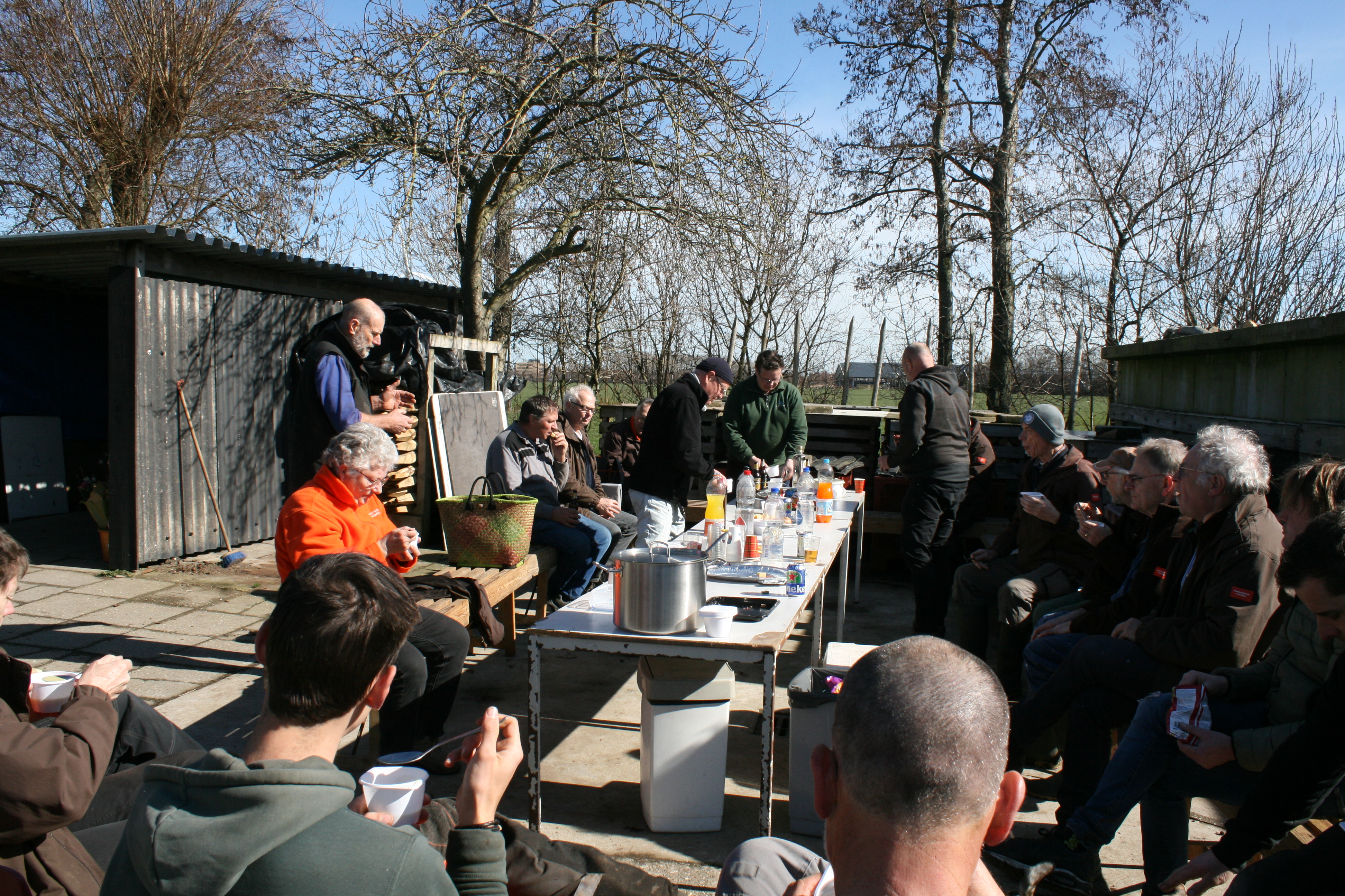 Knotploeg (Spookverlaat). Foto van Margot Klingers.